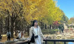 Mùa thu Hàn Quốc hút khách Việt nhờ vé máy bay giảm Mùa thu Hàn Quốc hút khách Việt nhờ vé máy bay giảm