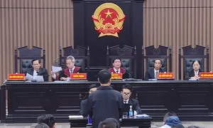 Bốn bị cáo giai đoạn hai vụ 'chuyến bay giải cứu' được án tù treo Bốn bị cáo giai đoạn hai vụ 'chuyến bay giải cứu' được án tù treo