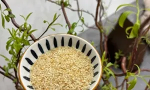 6 loại hạt giàu magie giúp ngủ ngon 6 loại hạt giàu magie giúp ngủ ngon