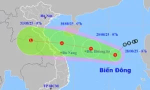 Áp thấp nhiệt đới hướng vào miền Trung Áp thấp nhiệt đới hướng vào miền Trung